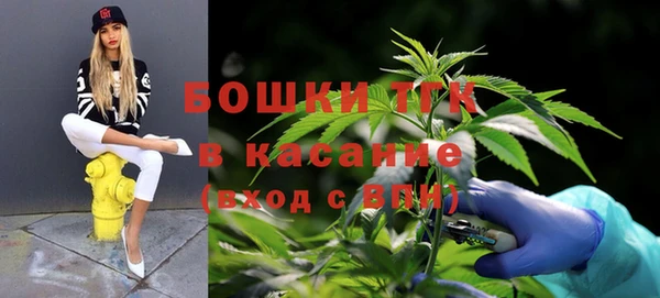 СК Михайловск
