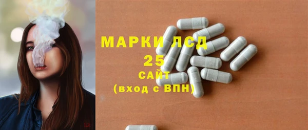 СК Михайловск