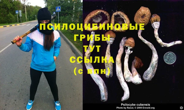 MDMA Медвежьегорск