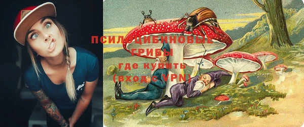 соль ск Мегион