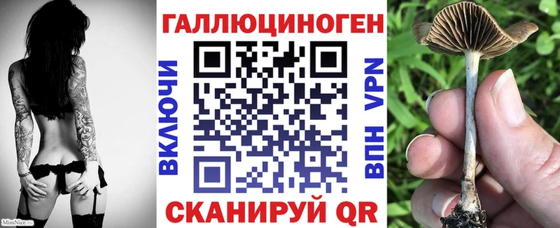 Галлюциногенные грибы MAGIC MUSHROOMS  купить   mega ссылки  Вологда 