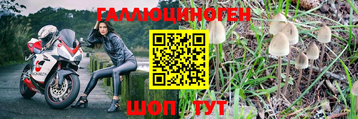 Галлюциногенные грибы MAGIC MUSHROOMS  Вологда  Галлюциногенные грибы Psilocybine cubensis 