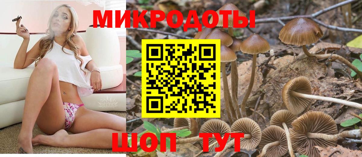 Галлюциногенные грибы Magic Shrooms Вологда