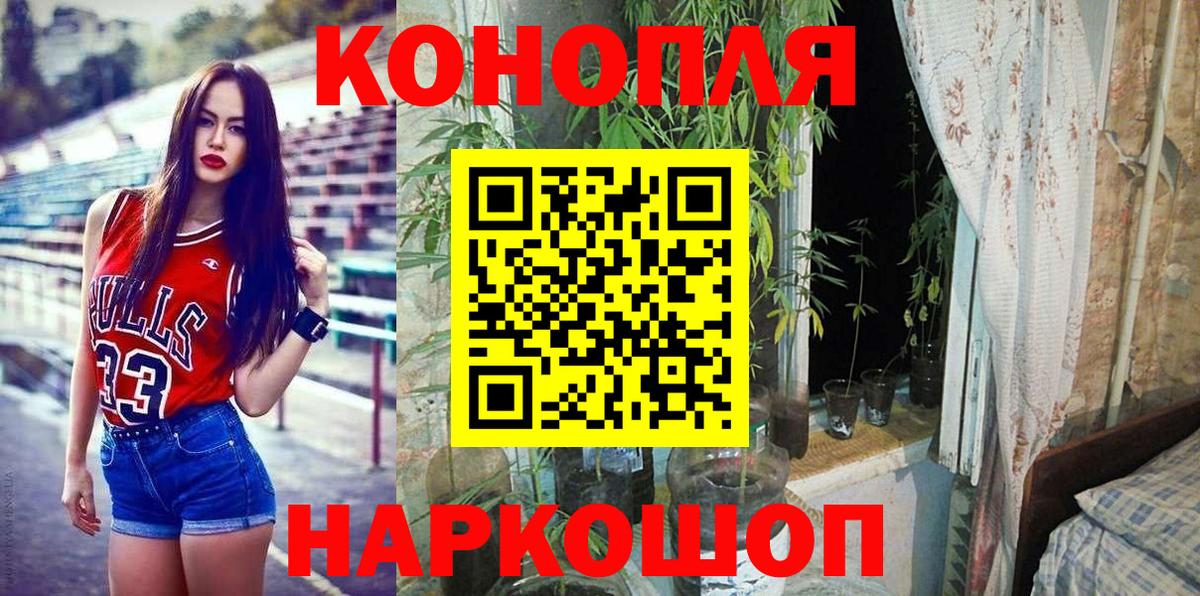 Шишки марихуана гибрид Вологда